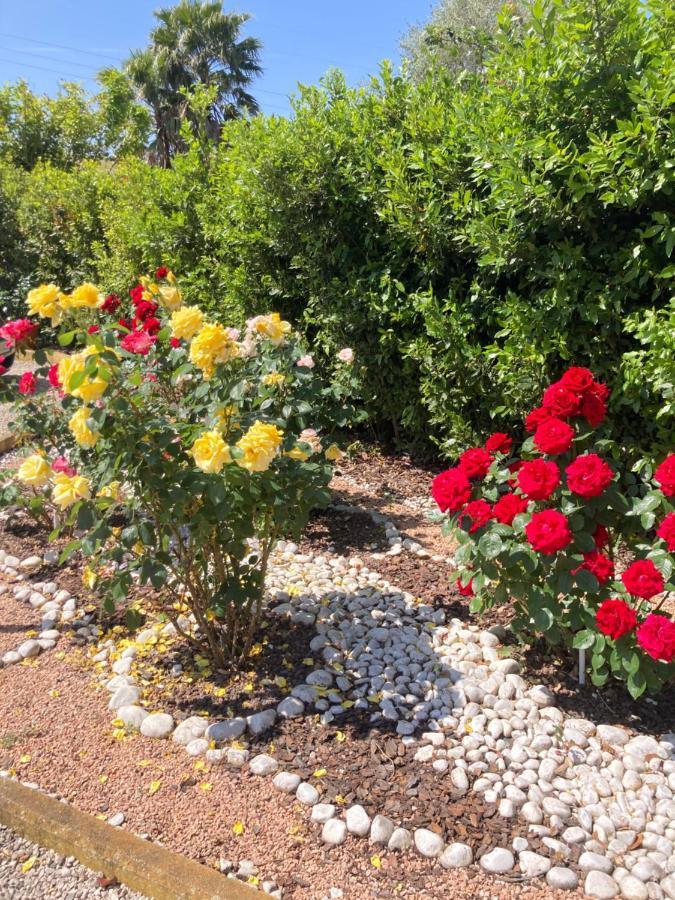 La Rosa Del Lago Bracciano  Eksteriør bilde