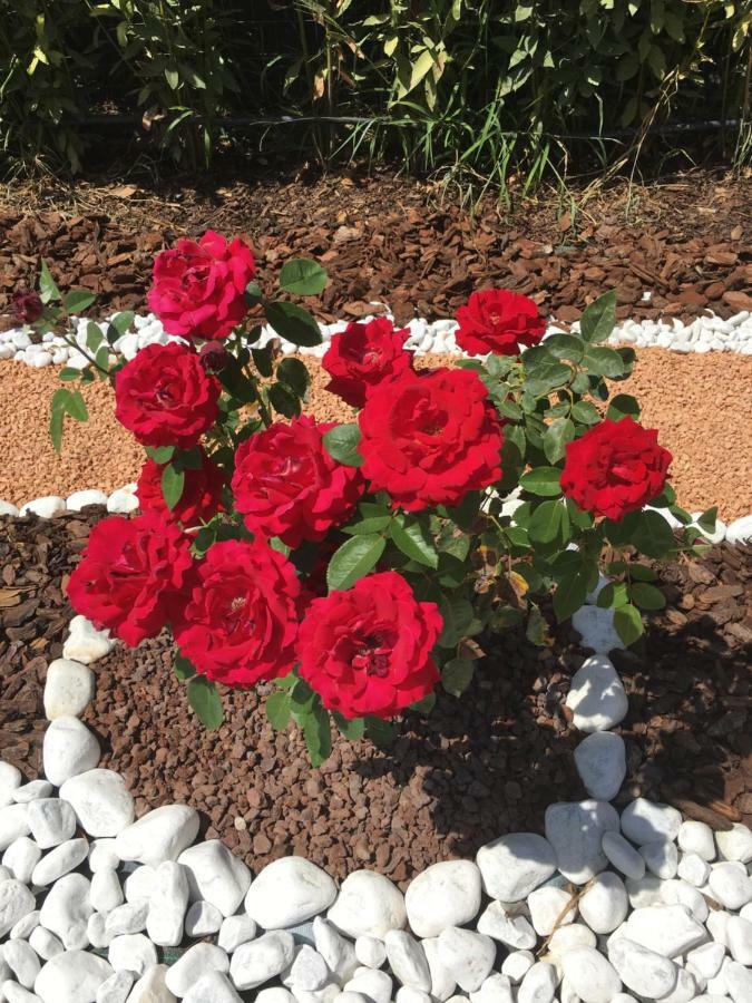 La Rosa Del Lago Bracciano  Eksteriør bilde