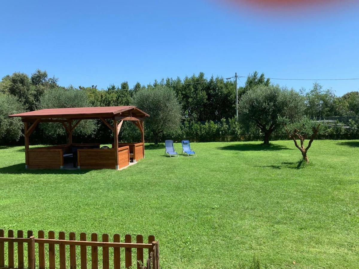 La Rosa Del Lago Bracciano  Eksteriør bilde