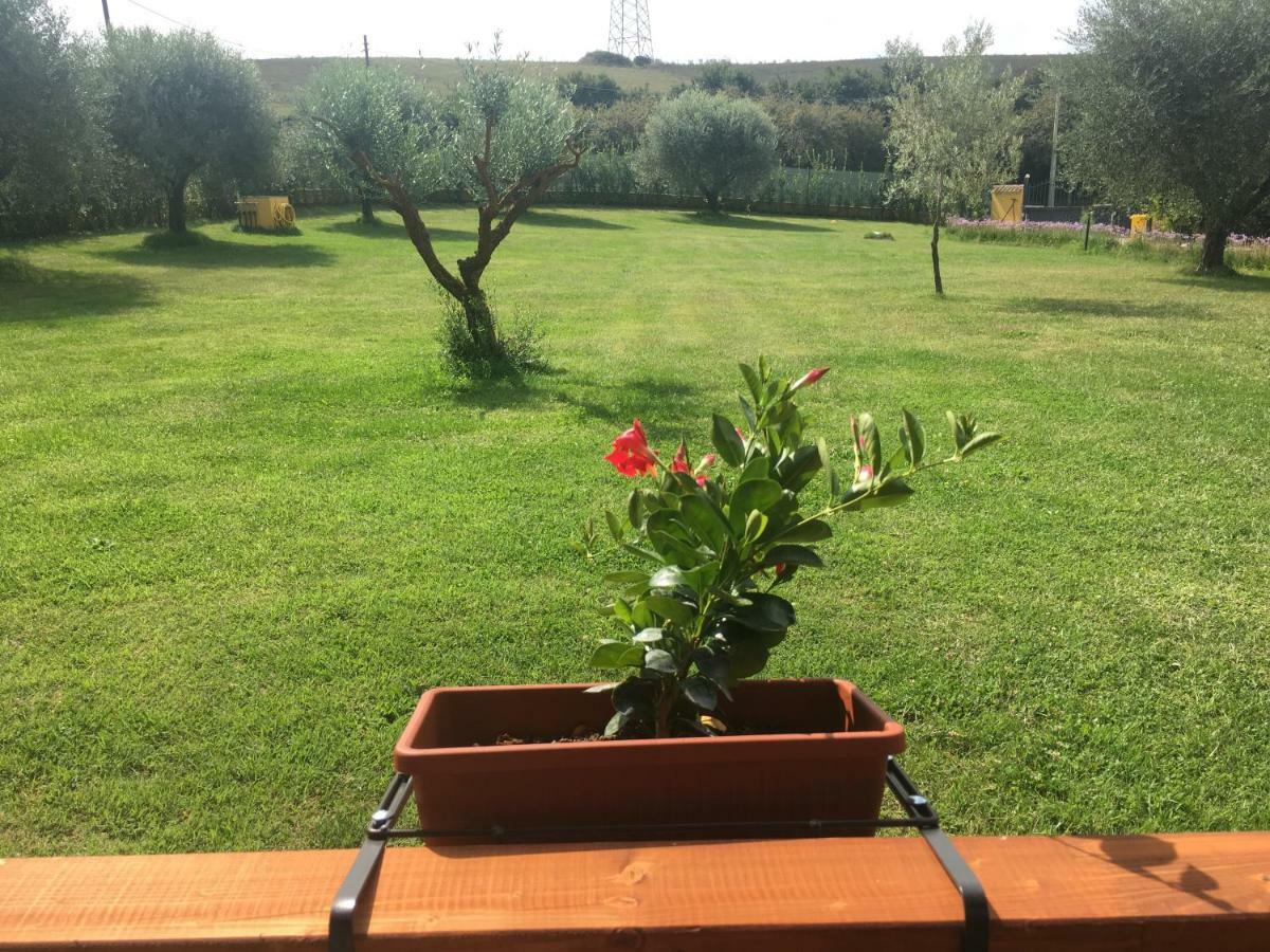 La Rosa Del Lago Bracciano  Eksteriør bilde