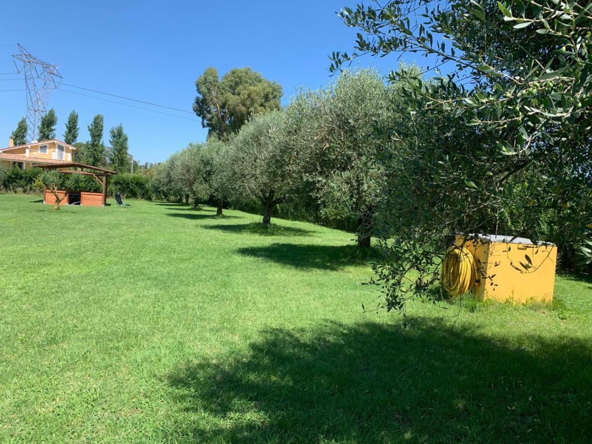 La Rosa Del Lago Bracciano  Eksteriør bilde
